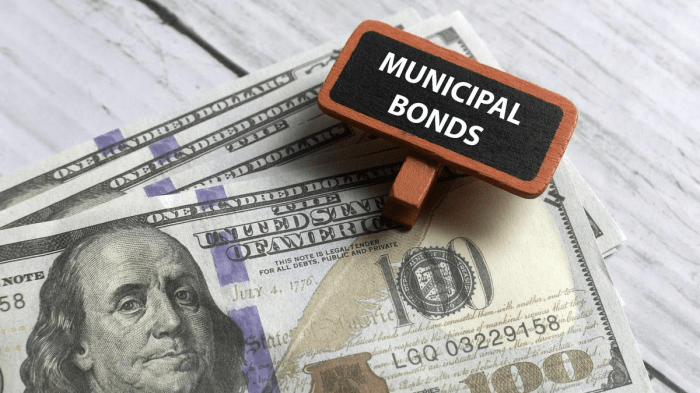 Municipal bonds